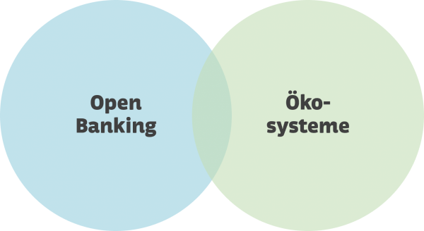 Schnittmenge Open Banking und Ökosysteme - APP Unternehmensberatung AG
